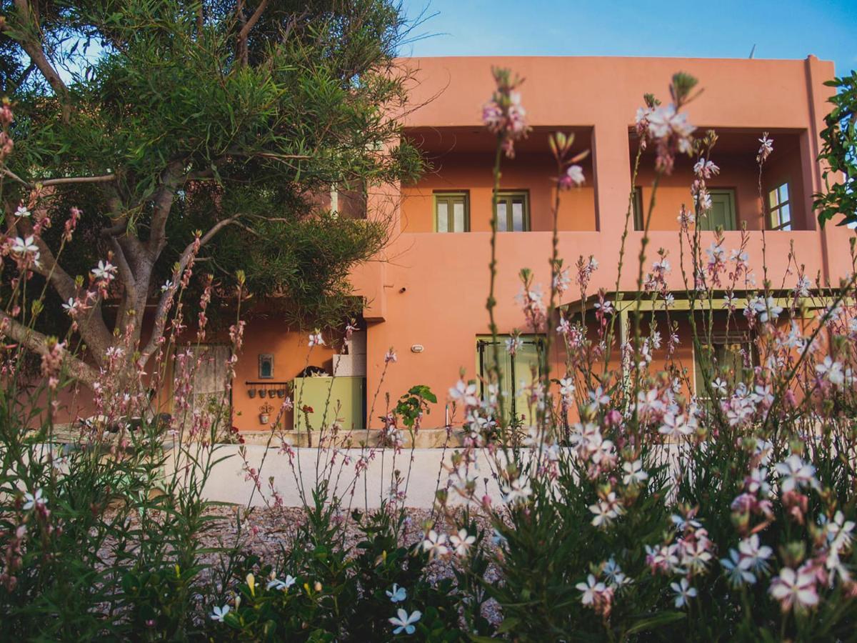 Flower And Crafts - The Eco Nature House 莫诺利索斯 外观 照片