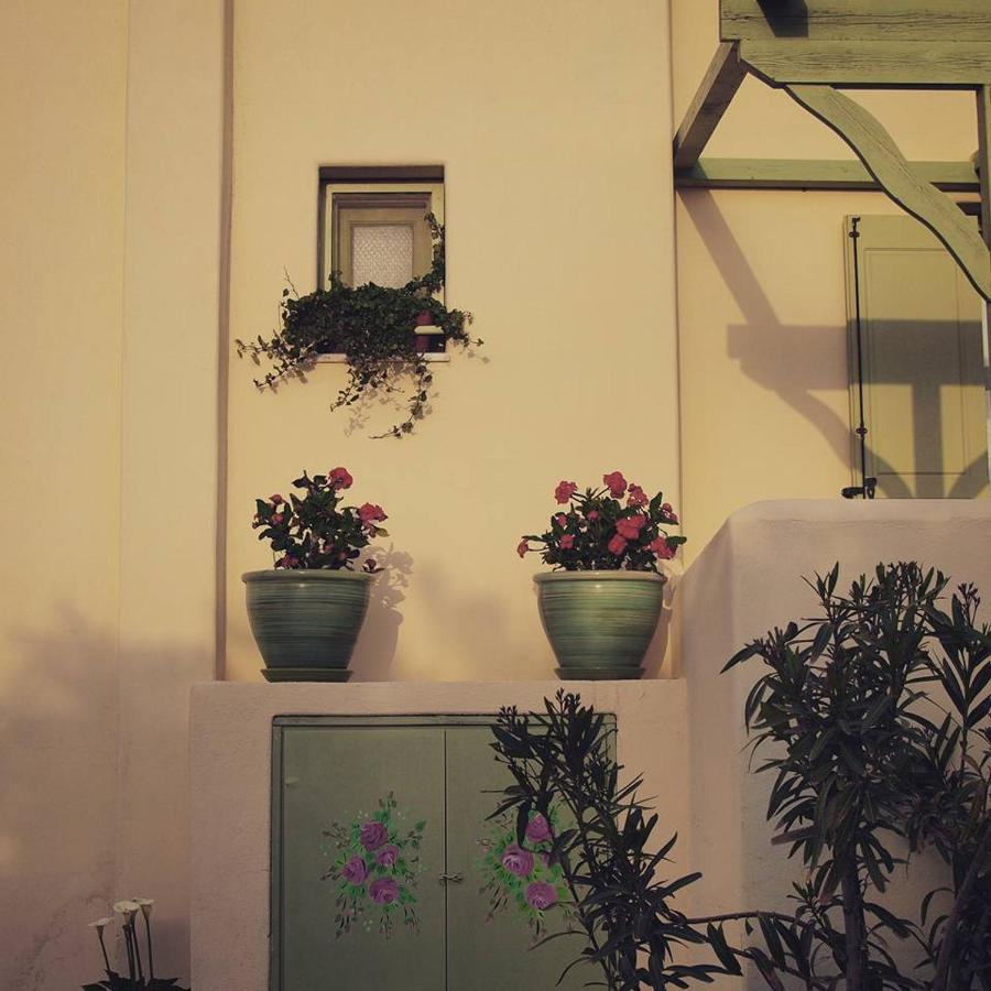 Flower And Crafts - The Eco Nature House 莫诺利索斯 外观 照片
